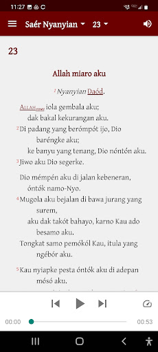 Alkitab Tejemahan Plembang Screen 3
