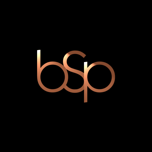 Brain Sound Player logo