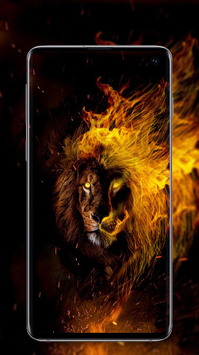 Download Lion Wallpaper HD Free for Android - Lion Wallpaper HD APK  Download 