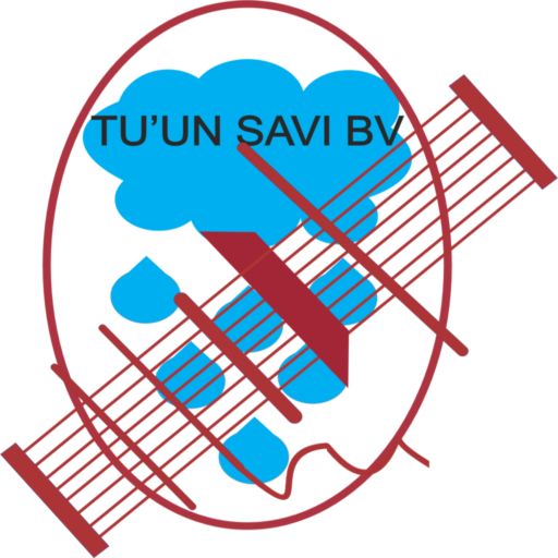Tuun savi BV logo