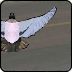 Pigeon attack - bird bomber 1.03