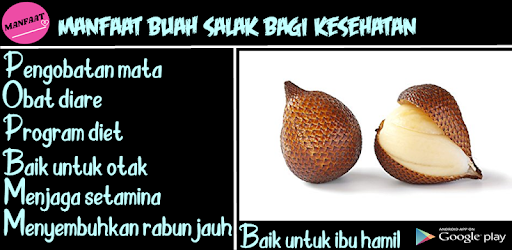 Manfaat buah salak