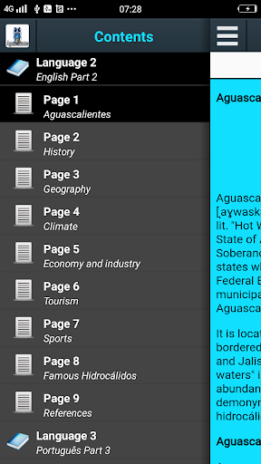 App preview