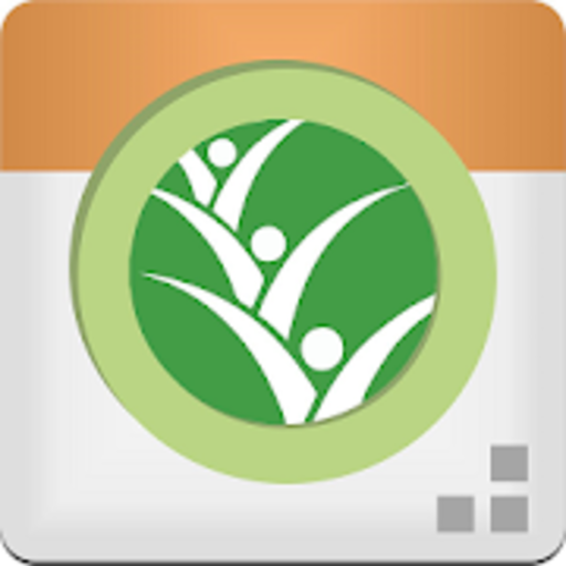 AzmeraCam logo