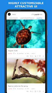 Joey for Reddit v2.1.3.1 Mod APK 1