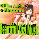 Beautiful Dizi Music +Ringtone - Androidアプリ