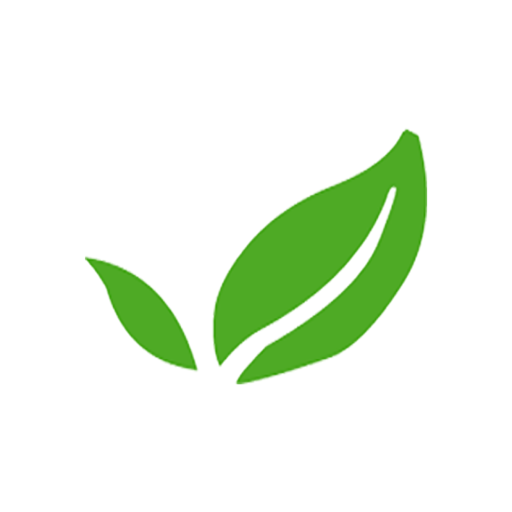 My Genesis Project Ogden logo