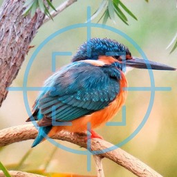 รูปไอคอน Bird Identification By Picture