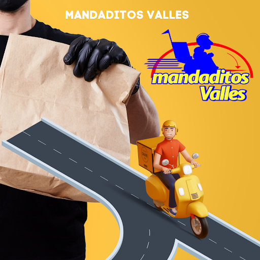 Mandaditos Negocio Screen 3