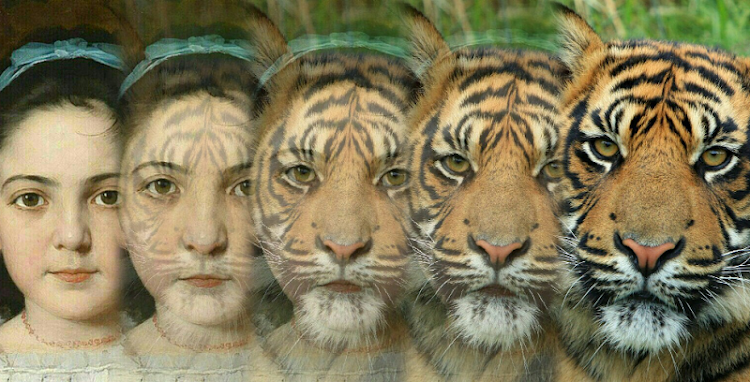 Zooface - GIF Animal Morph - 1.5.0 - (Android)