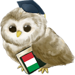 Cover Image of Download Learn Italian Free 6.1 APK