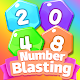 2048 Number Blasing