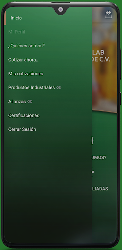 SILM Services Inter Lab México Screen 3