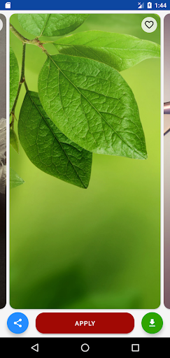 Wallpaper for P7 to P60 Screen 3