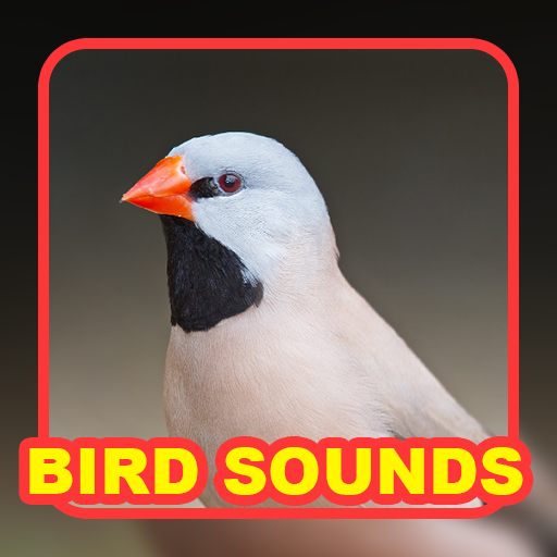 Bird: Sound Collections logo