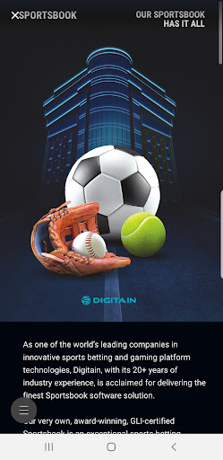 Digitain Screen 2
