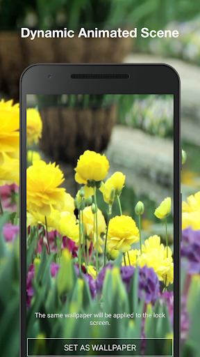 Spring Landscapes Pro Screen 2