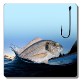 Fishing Day icon