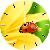 Ladybug Analog Clock icon