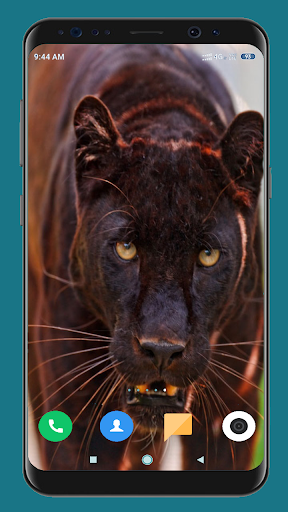 Android application Black Panther HD Wallpaper screenshort