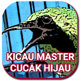 Kicau Cucak Hijau Master icon