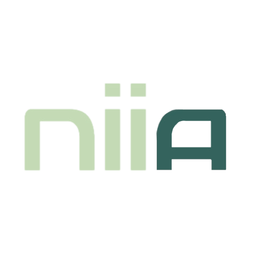 NIIA 0.9.0 Icon