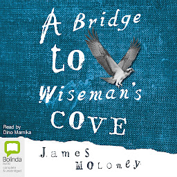 Icon image A Bridge to Wiseman's Cove