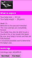 screenshot of Pregnancy calculator