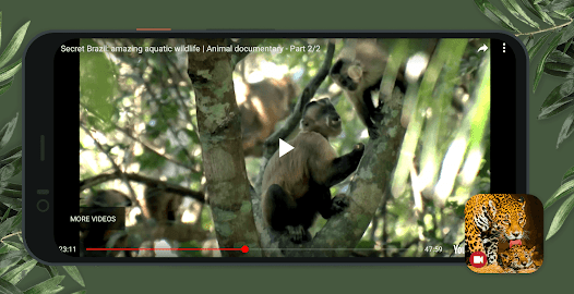 Imagen de la captura de pantalla