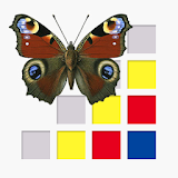 Vlinders van Nederland icon