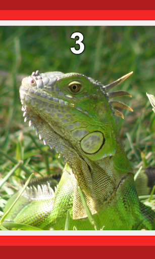 Screenshot of Selfie camera