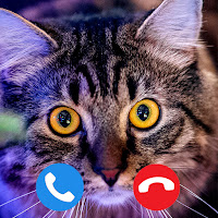 Cat Fake video call – fake chat with cat call game