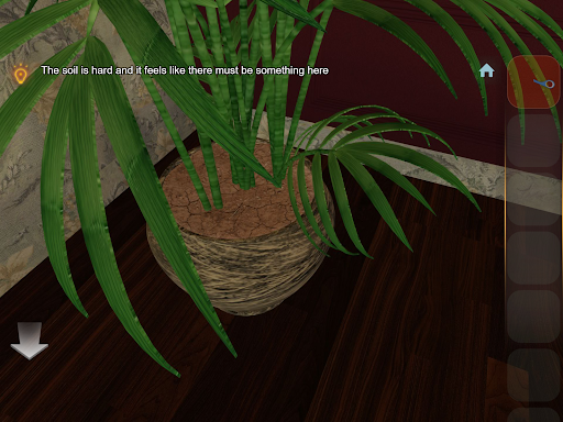 Escape Room Collection C1