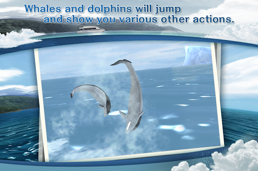REAL WHALES Find the cetacean. Screen 2