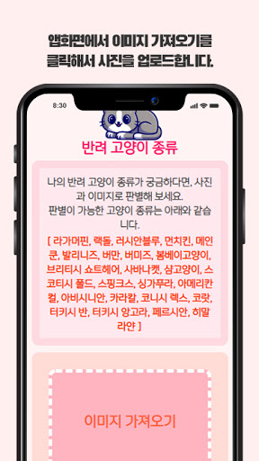 고양이 종류 Screen 2