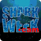 Shark on-line icon