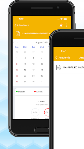 Academia  AEI College