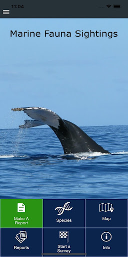 Android application Marine Fauna sightings screenshort