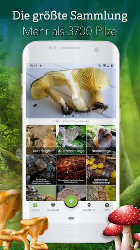 Android application Pilze 123 screenshort