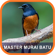 Top 31 Music & Audio Apps Like Masteran Murai Batu Terlengkap - Best Alternatives