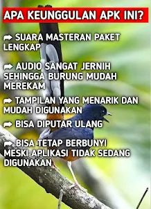 Master Suara Kicau Burung MP3
