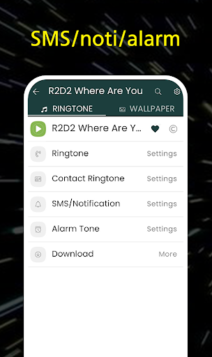 SW Phone Ringtone Screen 3