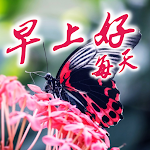 Cover Image of Unduh Chinese Good Morning Everyday  APK