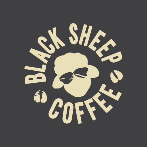 BSC Franchise logo