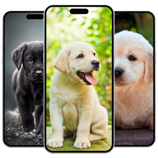 Puppy Wallpaper 3.0.1 Icon