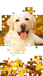 Jigsaw1000: Jigsaw puzzles