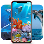 Cover Image of Download Dolphin Images | Pink Dolphin  APK