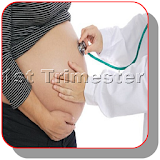 Fact about first trimester of pregnancy icon