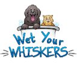 Wet Your Whiskers: Download & Review