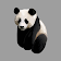 Panda Encouragement - Realistic Version icon